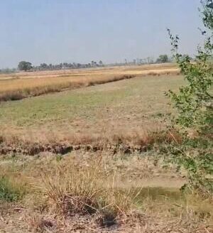 Residential Land/Plot for Sale