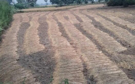 Commercial Land / Land for Sale