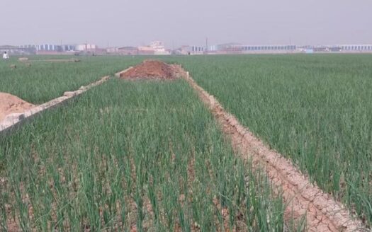 Residential Land/Plot for Sale